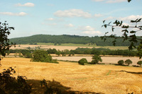 Wenlock Edge View