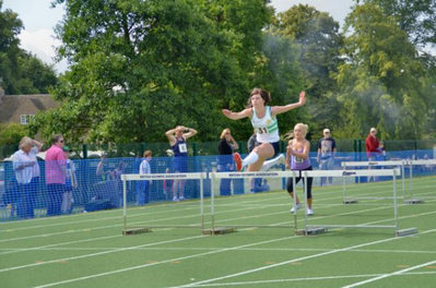 Click to enlarge Hurdles 2011